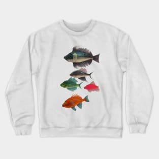 Fishes Crewneck Sweatshirt